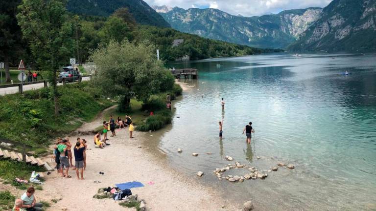 Kdor namerava obiskati Bohinjsko jezero v družbi psa, naj bo previden