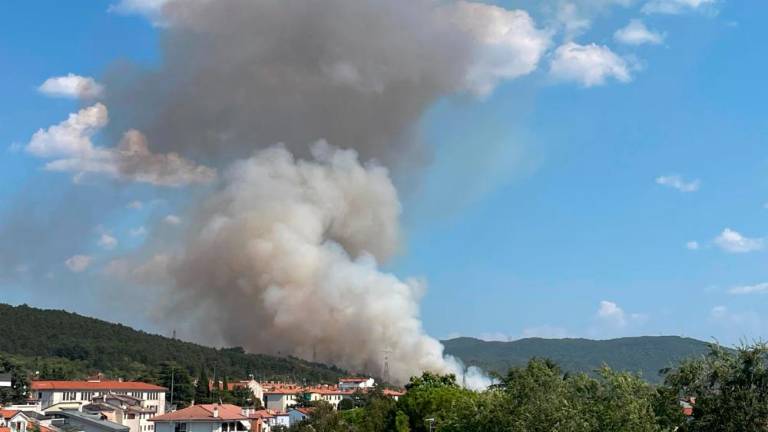 Požar pod nadzorom (foto in video)