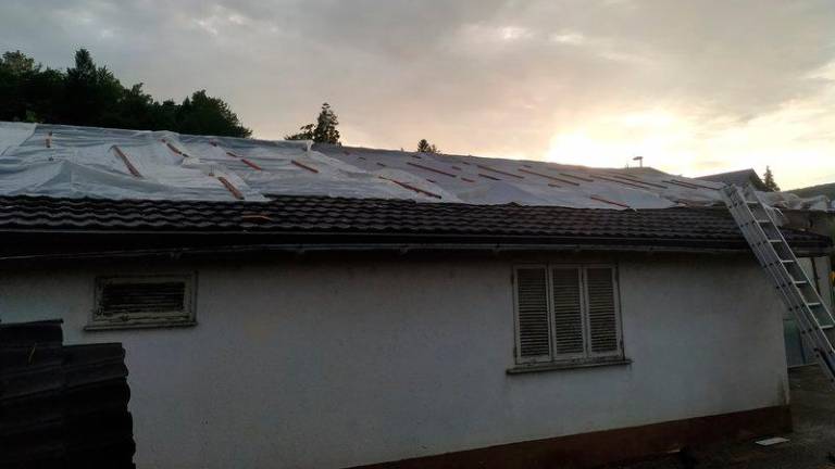 Neurje v okolici Ljubljane in Novega mesta