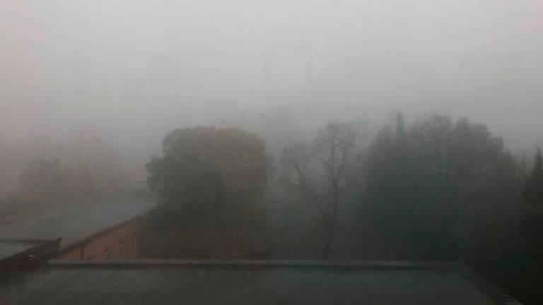 Ponekod na Krasu gosta megla