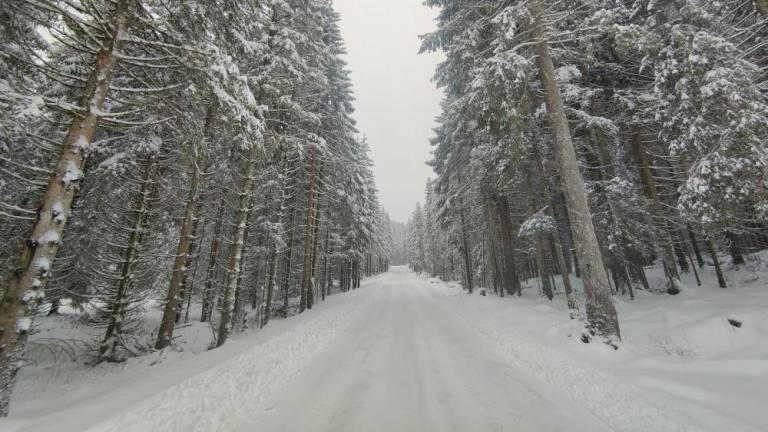 Zimska pravljica na Trnovski planoti (foto)