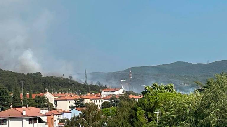 Požar pod nadzorom (foto in video)