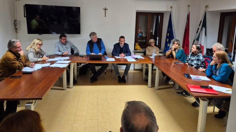 Na Kontovelu rešujejo težave z divjadjo