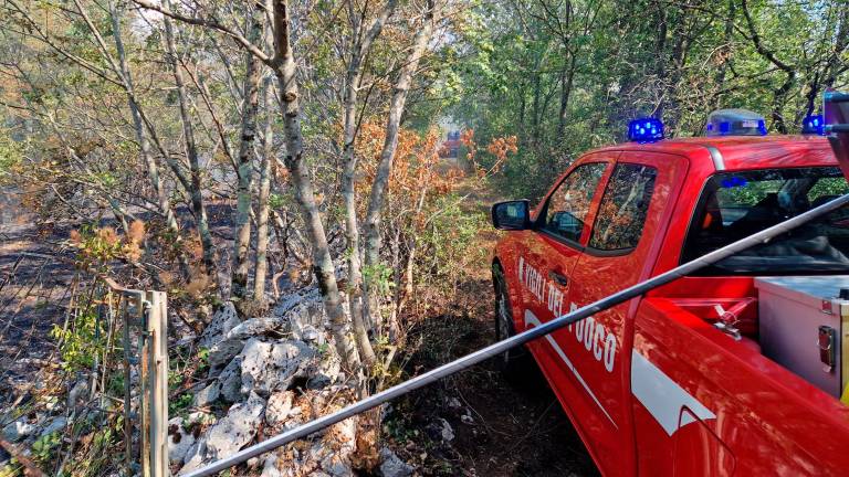 Gori širše območje pri Padričah, priletel helikopter (FOTO in VIDEO)