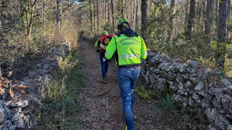 Tekač padel in se poškodoval v gozdu pri Nabrežini