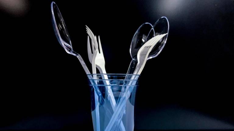 Hrvaški stop plastiki za enkratno uporabo