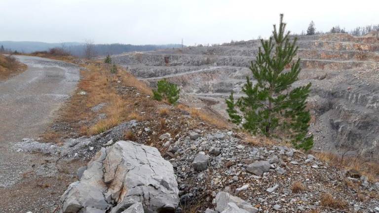 Vandali poškodovali deset vozil, odteklo 300 litrov motornega olja