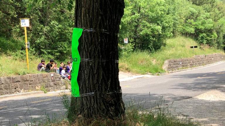 Iz Kurdistana prepešačili v Breg