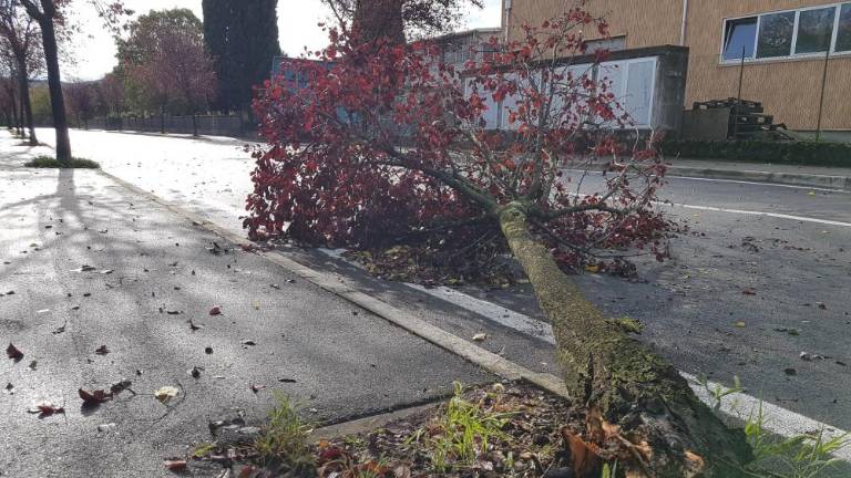 Nočno neurje povzročilo škodo v Sovodnjah