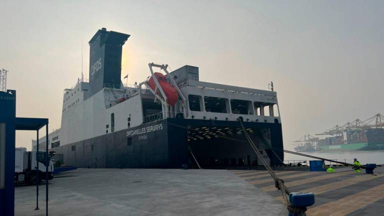 Ladje s humanitarno pomočjo iz tržaškega v turško pristanišče