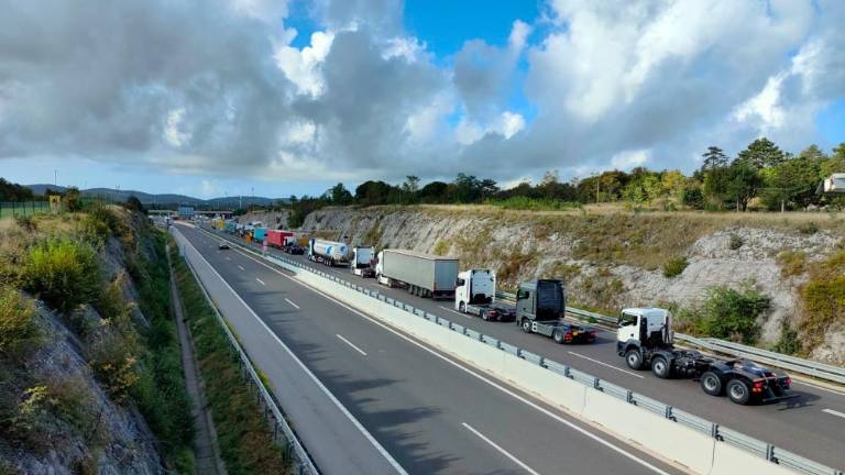 Pri Fernetičih daljša vrsta tovornjakov