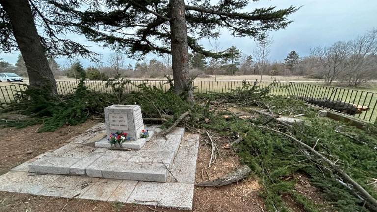 Nabirka za spomenik bazoviškim junakom v polnem teku