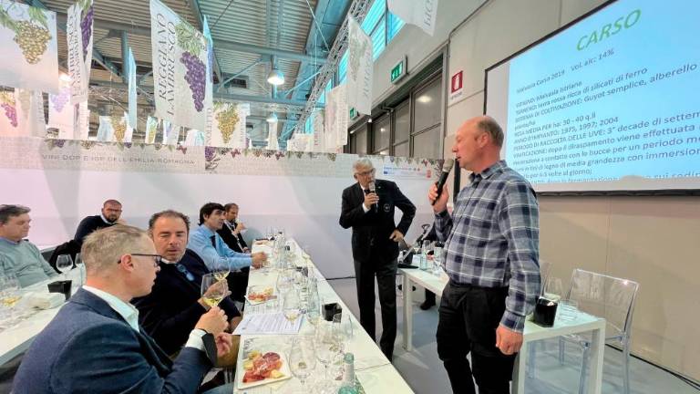 Tržaška vina na sejmu Vinitaly