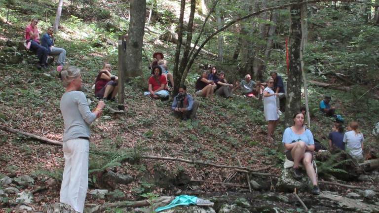 Lokalni prostor in gozd