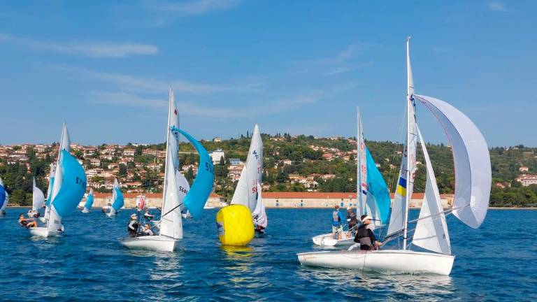 Mladi jadralci julija v Portorožu za evropske naslove
