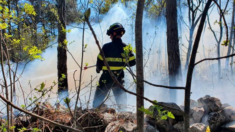 Zagorelo v Naselju Sv. Sergija