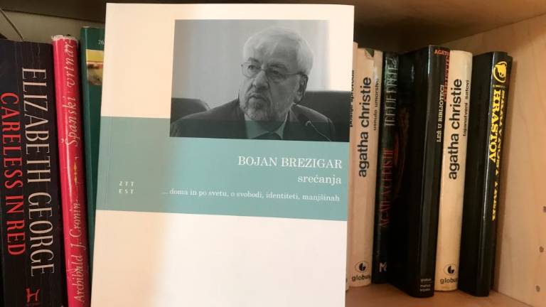 Brezigar, novinar in popotnik