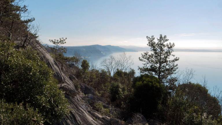 Spletno predavanje o varovanju biotske raznolikosti na Krasu