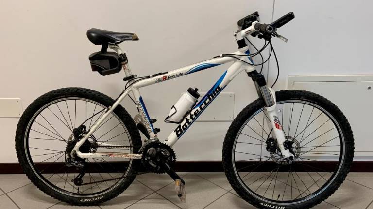 Gorsko kolo in dragocena knjiga čakata na lastnika