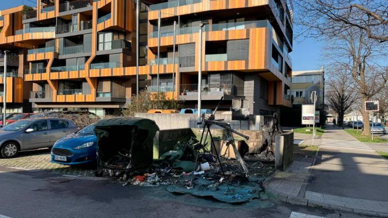 V Novi Gorici ponoči zagoreli zabojniki za odpadke in avtomobil