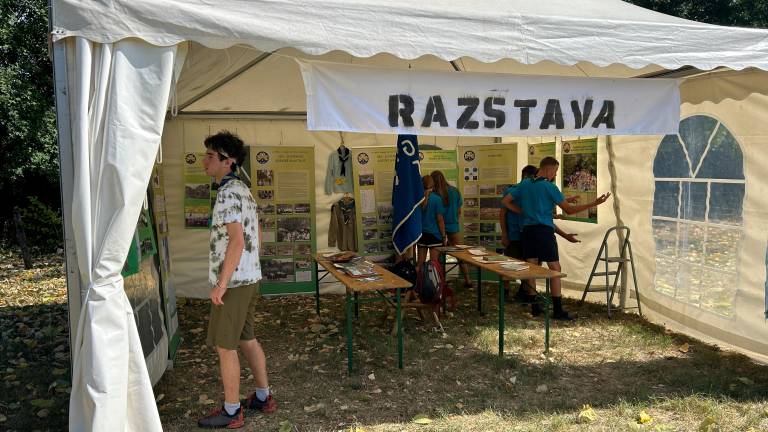 Tabor SZSO v Dolenjah pri Ajdovščini