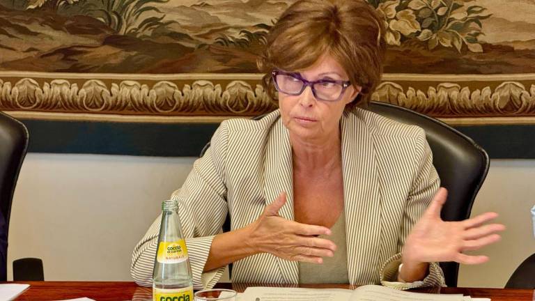 FJK bo lahko sama krepila italijansko-nemški pouk