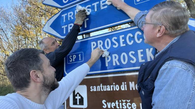 Predstavniki Slovenske skupnosti so očistili smerokaze