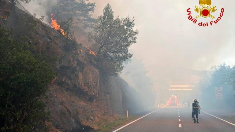 Med Tržičem in Štivanom se je vnel gozdni požar
