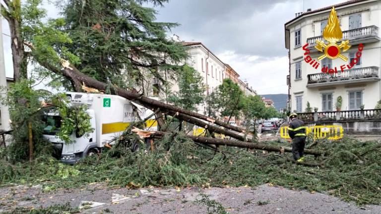 Pol milijona evrov za odpravo škode po ujmi