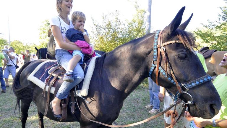 &Scaron;e danes konji (in drugo) v Medji vasi