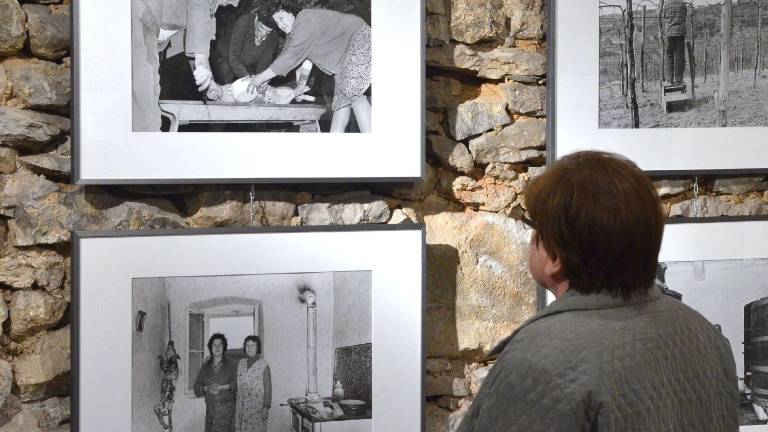 Istrski fotografski motivi uvajajo v novo bogato sezono