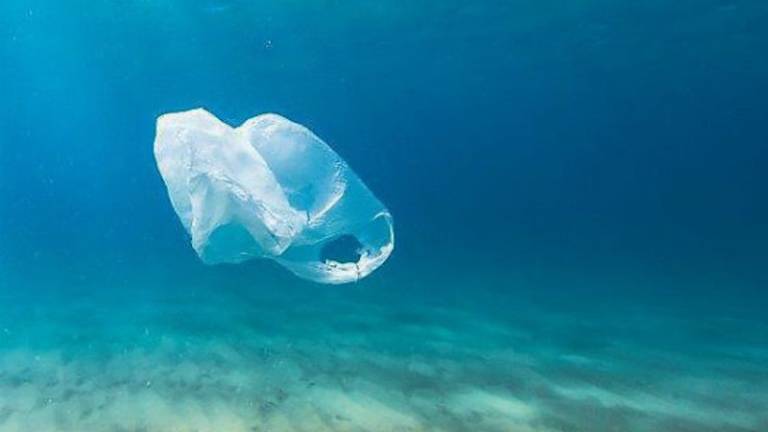 Mikroplastika v morju vse večji problem