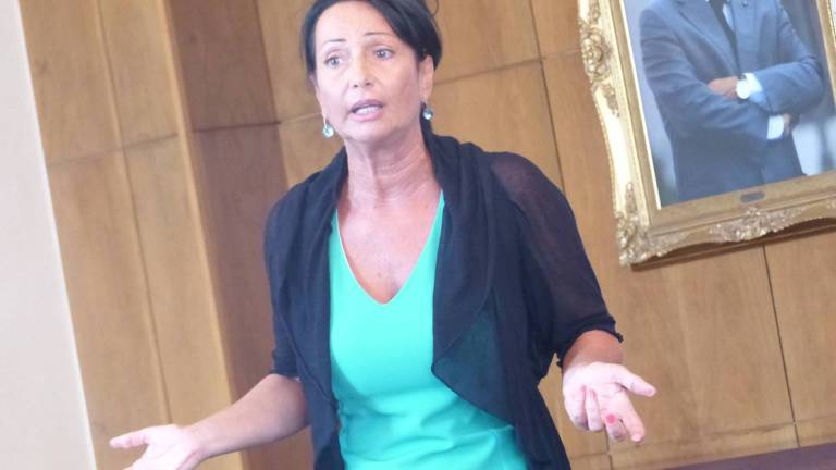 Borcev iz Nove Gorice niso povabili