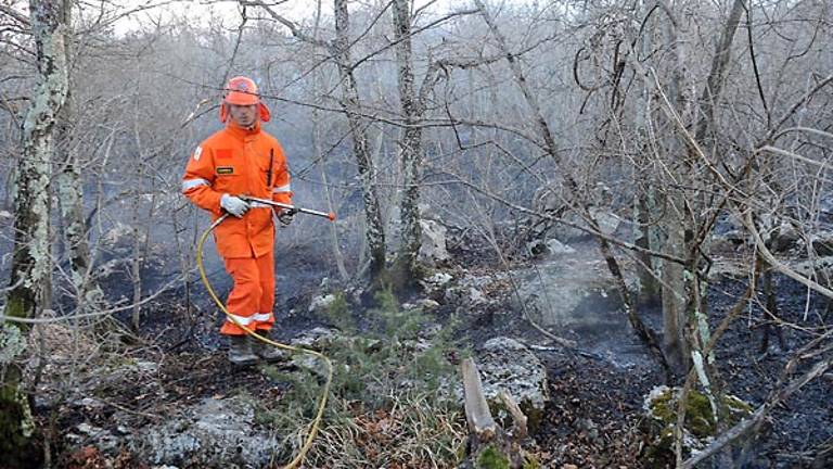 Slovenija razglasila požarno ogroženost