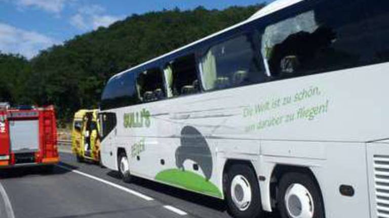 Ko&scaron;čki stekel po&scaron;kodovali dijake