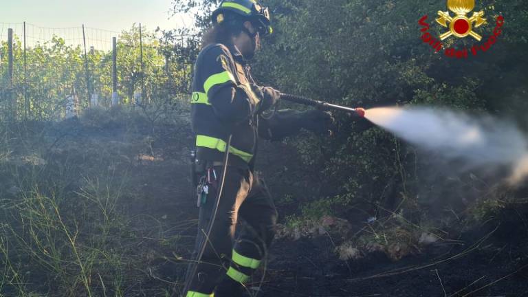 Požar na Dolgi Kroni