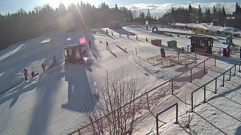 V gorah je danes vse živo