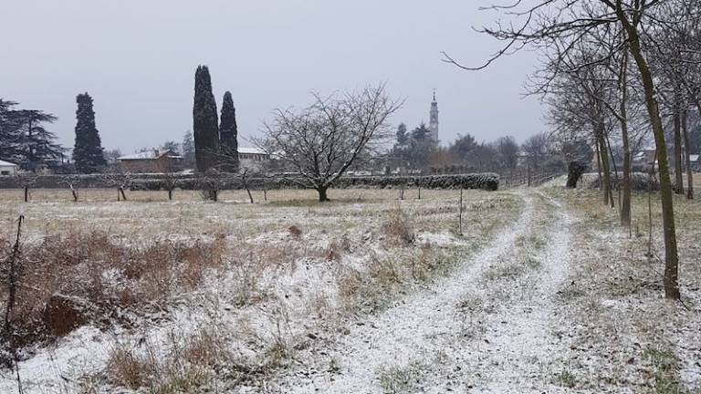 Sneži tudi na Gori&scaron;kem
