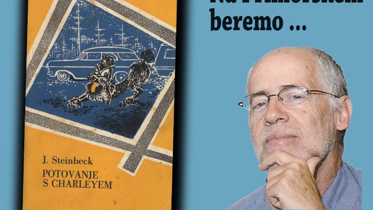 Na Primorskem beremo ... (6)