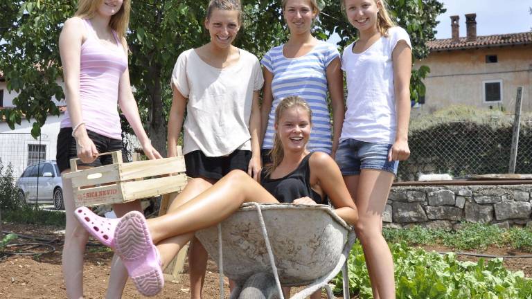 Marljivi &Scaron;vedi v Zagradcu