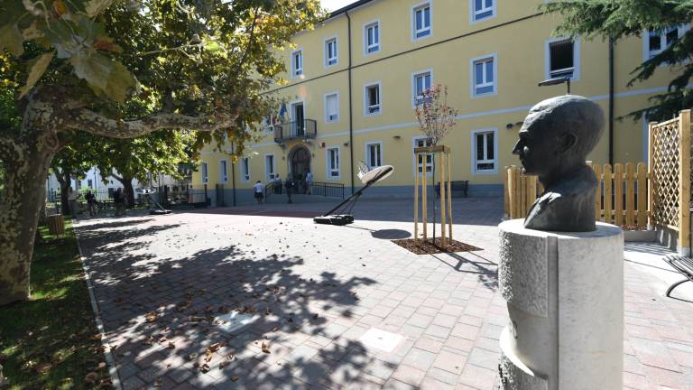 Kravos odgovoril Brandijevi