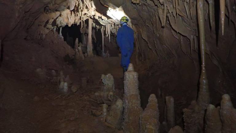 Naleteli so na 21 jam