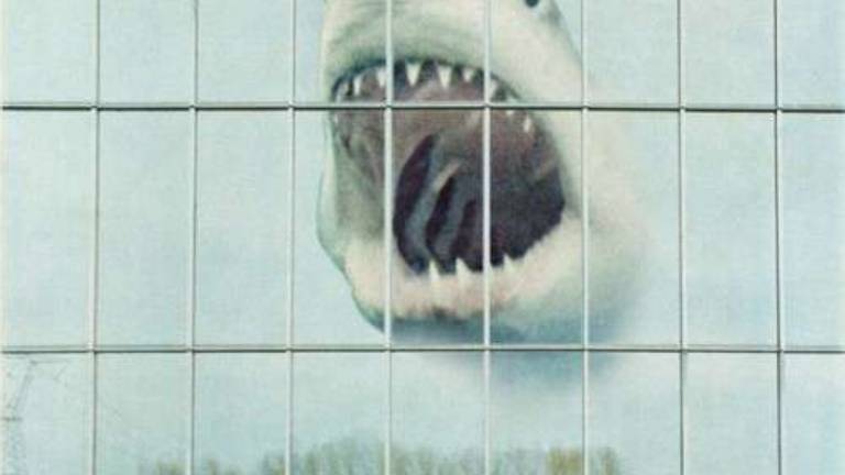 Wilderness Heart: take plo&scaron;če potrebujemo!