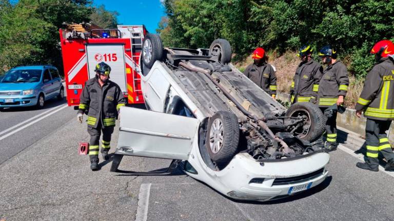 Voznik in psiček pristala na strehi
