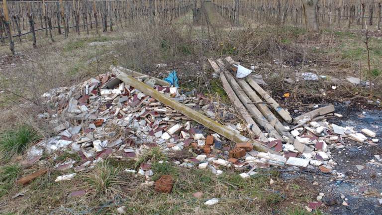 Med grmi celo otro&scaron;ki tricikli