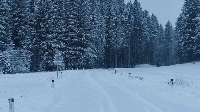 Zimska pravljica na Trnovski planoti (foto)
