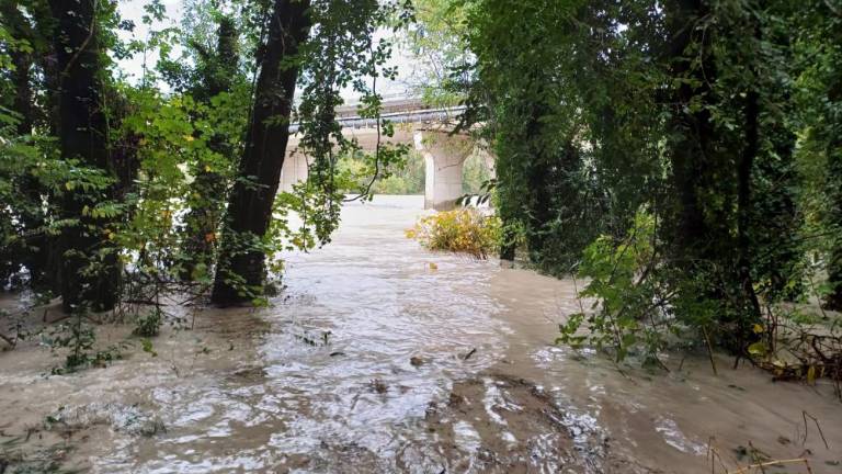Noč je na Goriškem minila mirno (VIDEO)