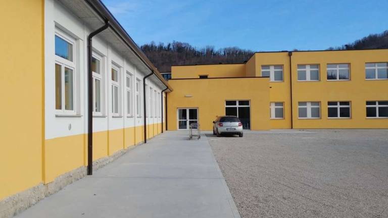 &Scaron;petrska dvojezična &scaron;ola bo nosila ime po Pavlu Petričiču