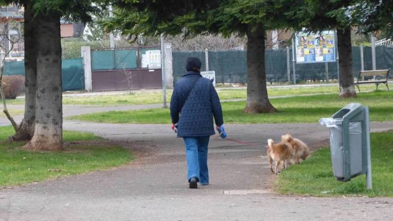 Pozor na strupene vabe