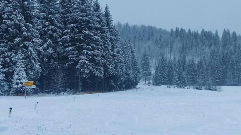 Zimska pravljica na Trnovski planoti (foto)